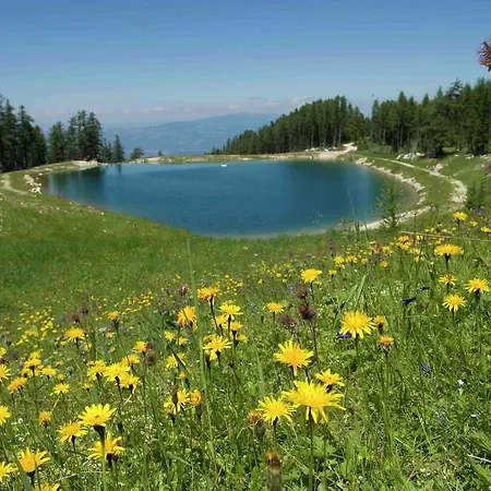 Comfy With Garden, Balcony, Bbq,table Tennis Table Appartamento Sankt Kanzian am Klopeiner See
